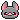 Vampire bat
