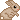 Hare