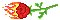 Rose in fire v3
