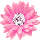 (MARMAR)