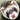 MMK Ferret Faces