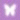 White Butterfly