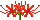 Spider Lily
