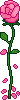 Rose 2