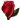 Sweet Red Rose