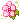 Minuet Weigela