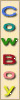 CowBoyDeveloper