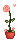 Bottled rose