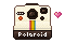 Vintage Polaroid!
