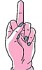 Middle Finger UP!