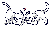Cat Love!