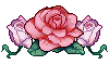 Spring Flowers!