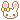 Cute Bunny!