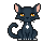 Black Cat!