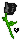 Black Rose of Death