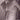 BOD