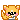 puppy5