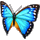 flutterby